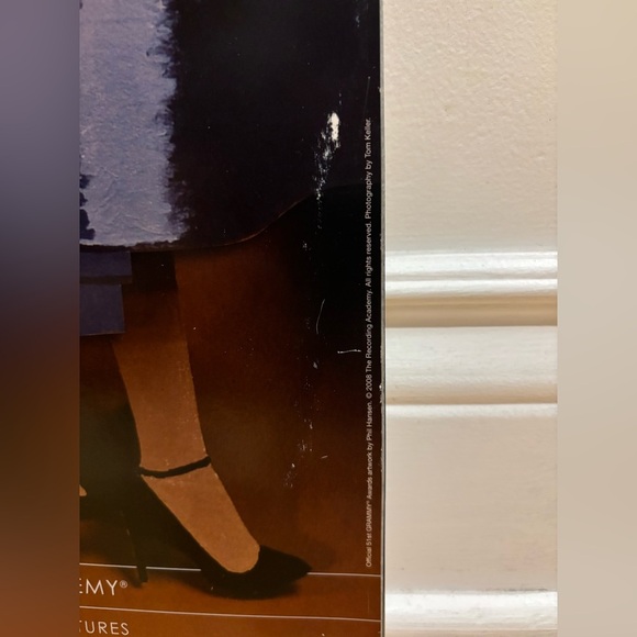 51st Annual Grammy Awards Official Promo Poster – 18"x24" – 2009 - Picture 5 of 7